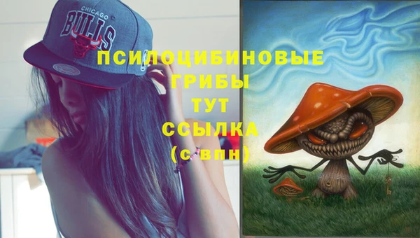 а пвп мука Бердск