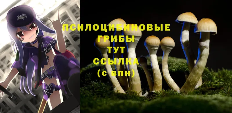 Галлюциногенные грибы Magic Shrooms Пермь