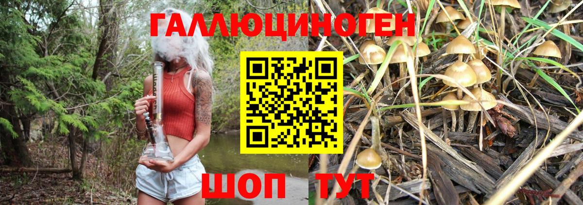 Галлюциногенные грибы Magic Shrooms Пермь