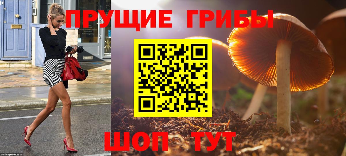 Псилоцибиновые грибы Psilocybine cubensis  Псилоцибиновые грибы Psilocybe  Вход с VPN  Пермь 